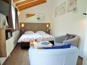 DO27 Charmante Studio in Domburg